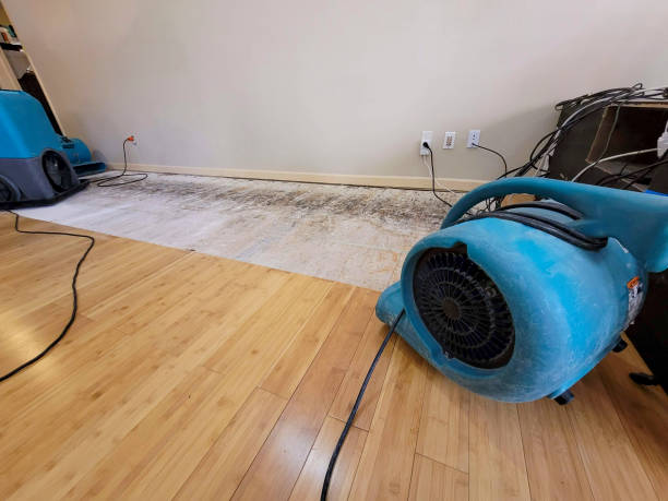 Professional Sewage Cleanup technician working in Tennessee Ridge, TN